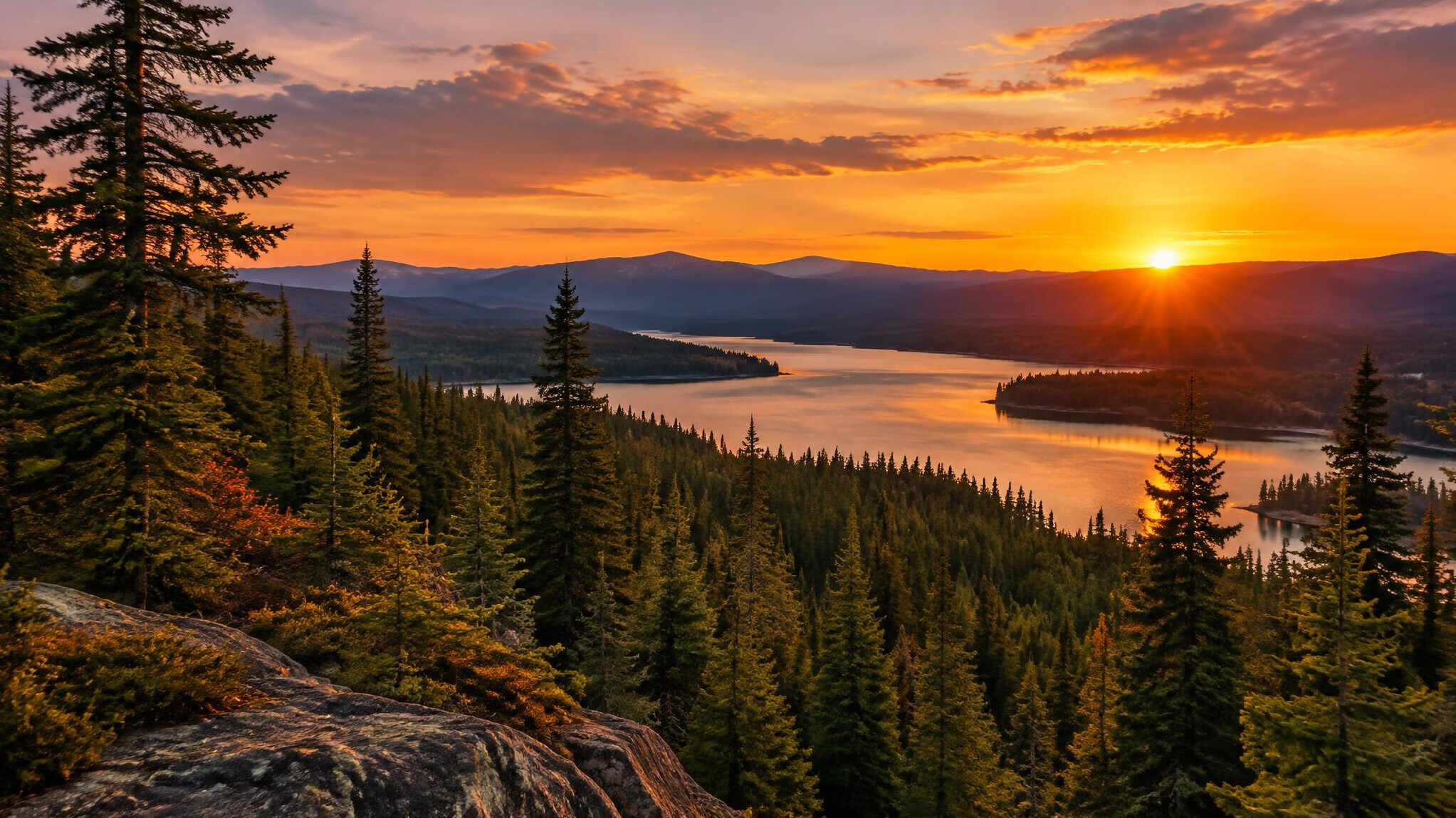 sunset over canadian trees