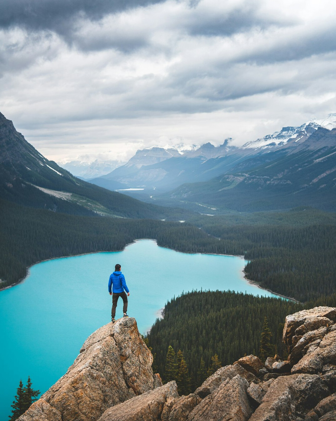 canadian wild forest adventure